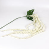 Amaranthus Stem in Cream White